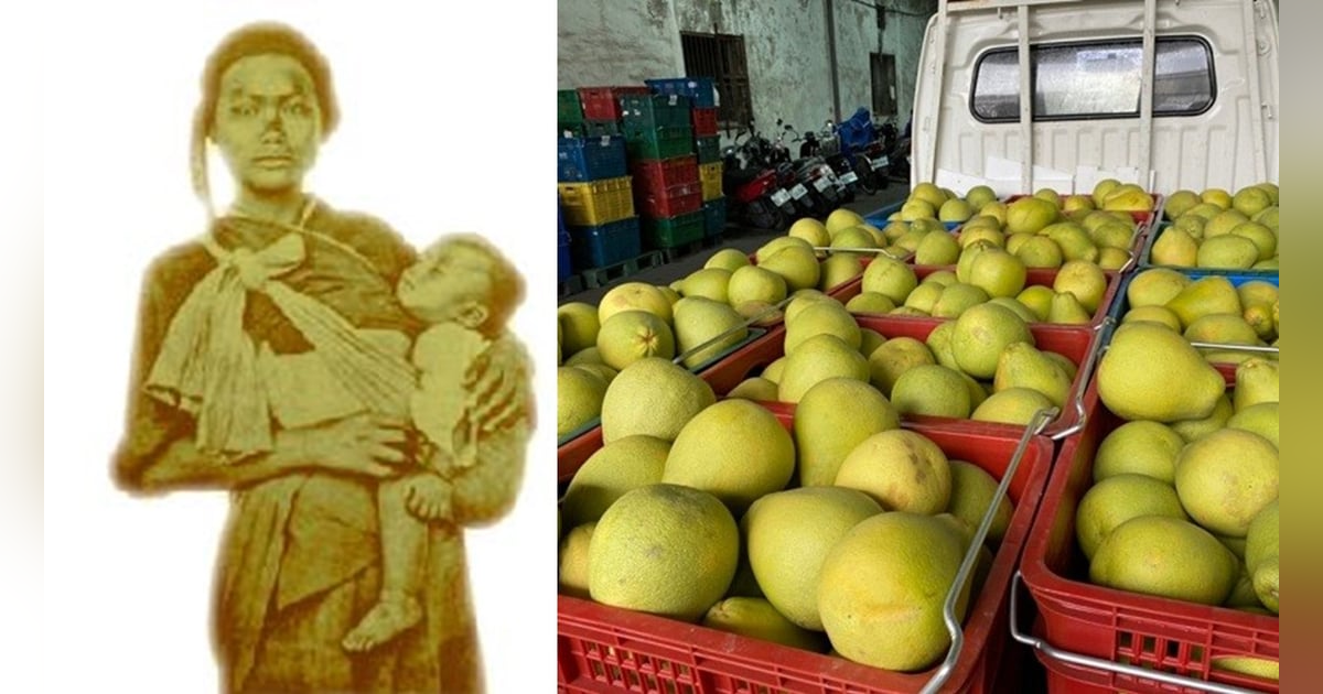 S3-E4 - Madou, Tainan 麻豆: Pomelos and Priestesses S3-E4 - Madou, Tainan 麻豆: Pomelos and Priestesses