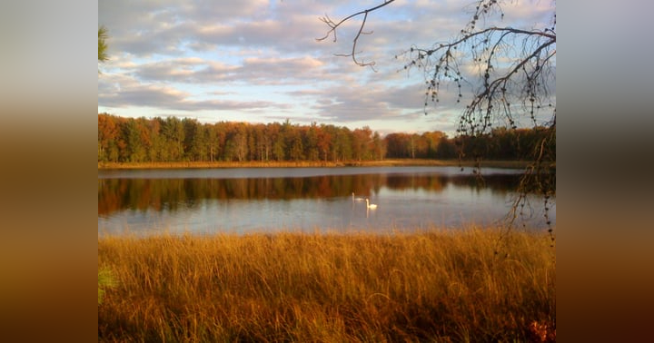 image for Fly Away Home Snowbird: Reflections on Fall in Michigan