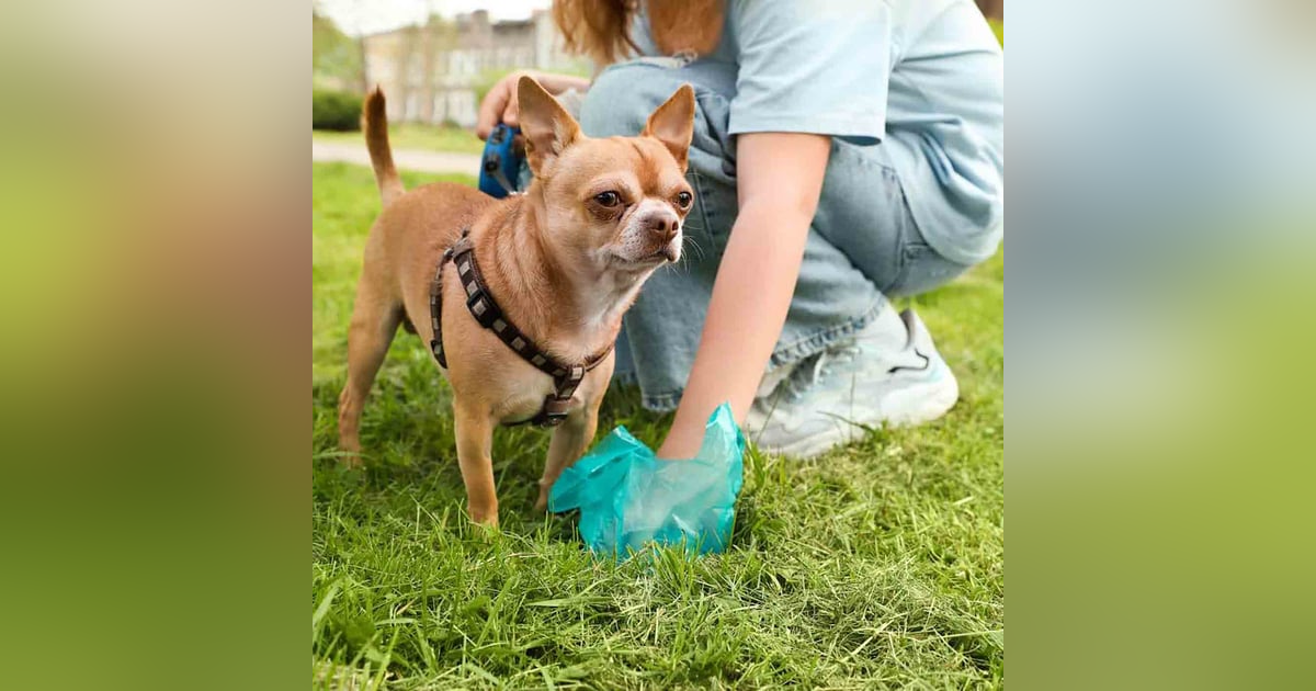 1290. Using DNA To Catch Owners That Don't Pick Up Poop 1290. Using DNA To Catch Owners That Don't Pick Up Poop