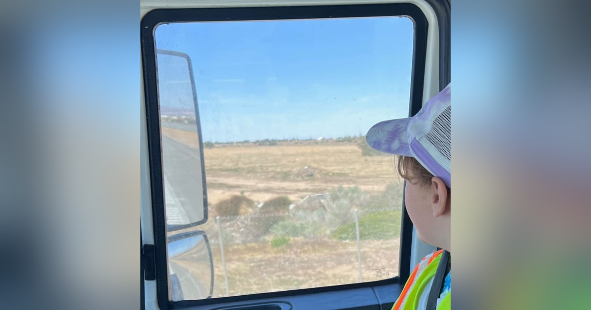 Turning on the Light! Turning on the Light!