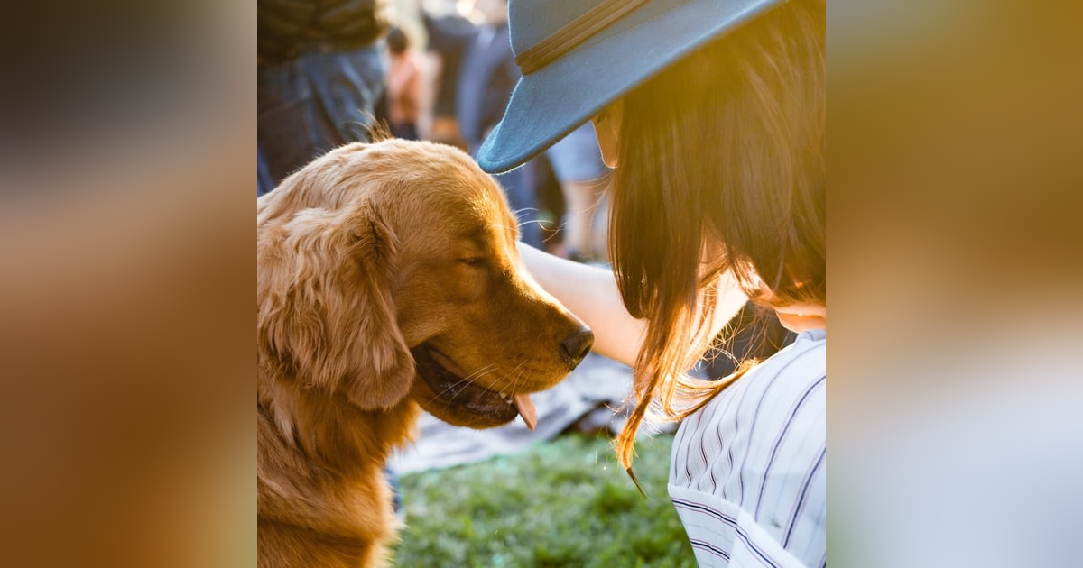 Downtown Winston-Salem Podcast - Tucker's Tap Yard Downtown Winston-Salem Podcast - Tucker's Tap Yard