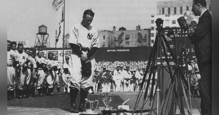 image for Dead, Death, Dying