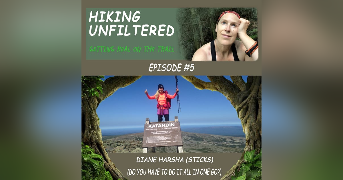 Episode #5 - Diane Harsha (Sticks) Do you have to do it all at once? Episode #5 - Diane Harsha (Sticks) Do you have to do it all at once?