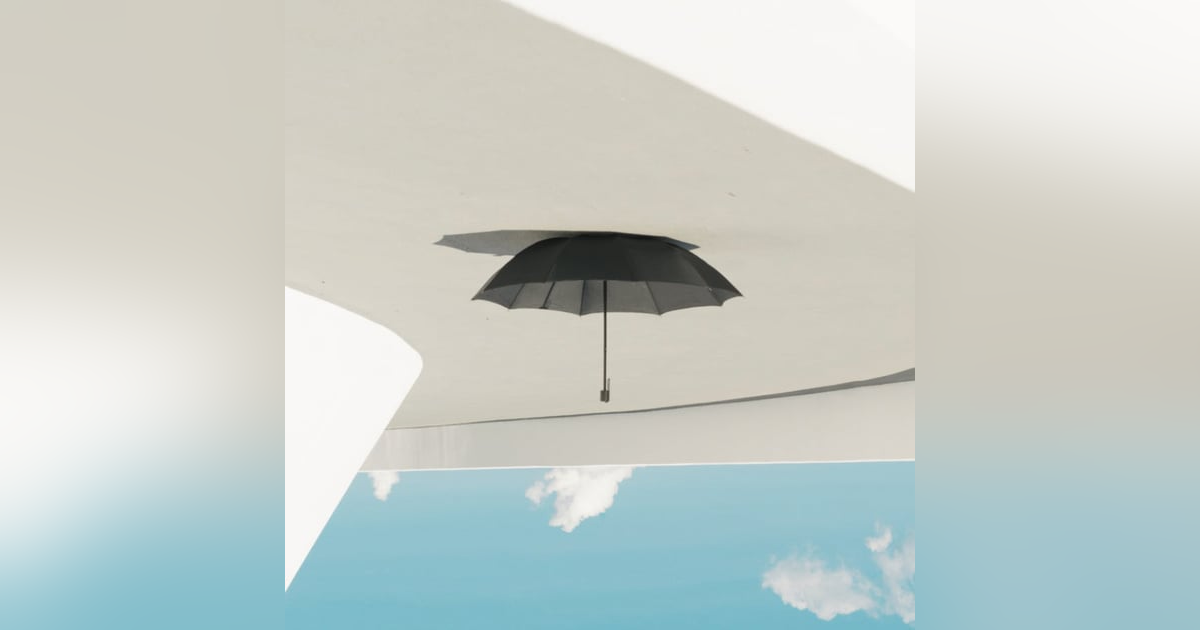 Looking at the Plaintiff Side from A Different Perspective Looking at the Plaintiff Side from A Different Perspective