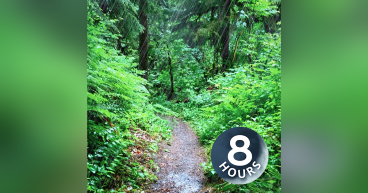 Rainy Day Pacific Northwest 8 Hours | Rain Sounds for Relaxation, Sleeping or Studying | White Noise Rainy Day Pacific Northwest 8 Hours | Rain Sounds for Relaxation, Sleeping or Studying | White Noise