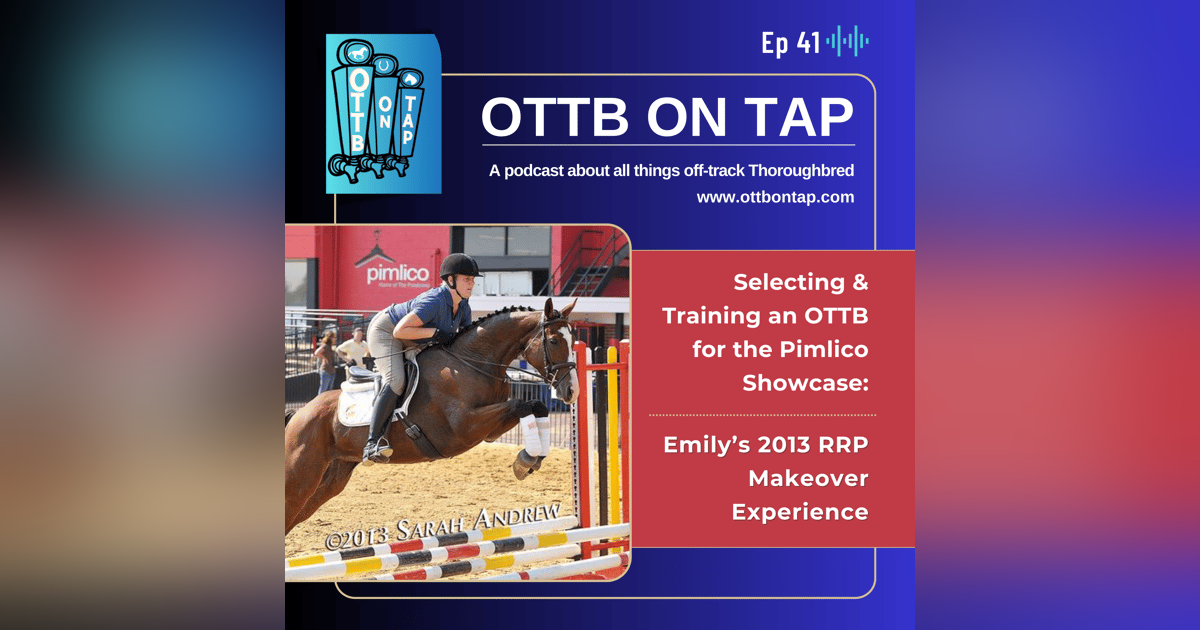 Ep 41: Selecting & Training an OTTB for the Pimlico Showcase: Emily's 2013 RRP Makeover Experience Ep 41: Selecting & Training an OTTB for the Pimlico Showcase: Emily's 2013 RRP Makeover Experience