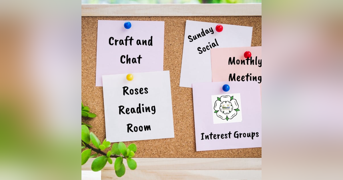 Institute, Destitute, Substitute Part 2 Institute, Destitute, Substitute Part 2