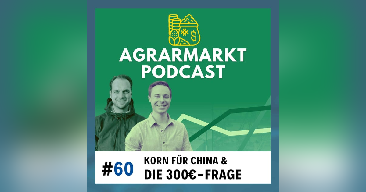 Die 300€-Frage Die 300€-Frage