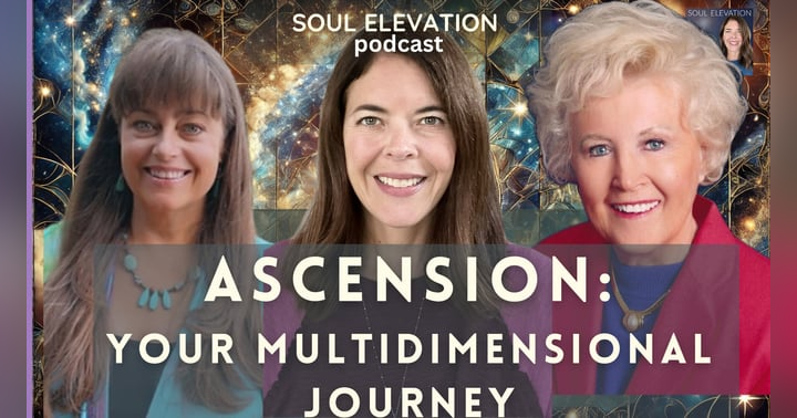 image for Walk Ins, Hybrids, & Starseeds - Sheila Seppi & Barbara Lamb