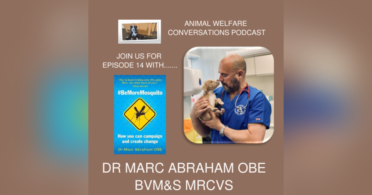 Episode 14 - Dr Marc Abraham OBE, Campaigning for lasting change Episode 14 - Dr Marc Abraham OBE, Campaigning for lasting change