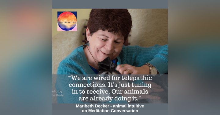 image for Intuitive Animal Communication with Maribeth Decker