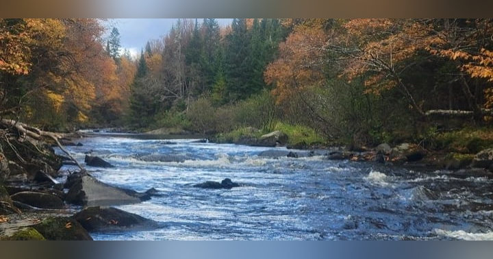 image for New England’s Best Kept Fly Fishing Secret? The Upper Connecticut River