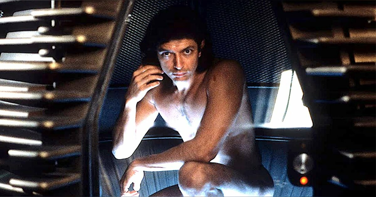 Midweek Mention... The Fly Midweek Mention... The Fly