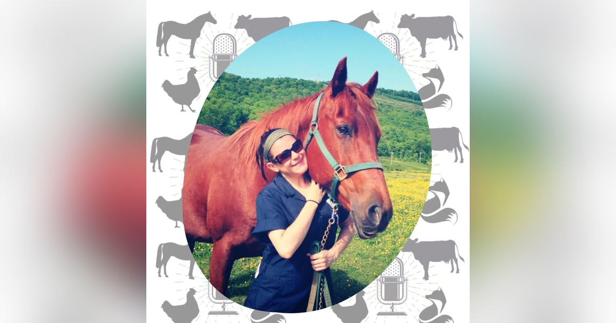 How to Be an Effective Online Activist (Without the Burnout) How to Be an Effective Online Activist (Without the Burnout)