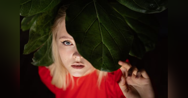 image for Visibility as Service: Turning Presence into Purpose