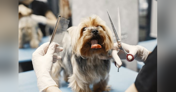 image for Emotional Intelligence as the Real Measure of Leadership