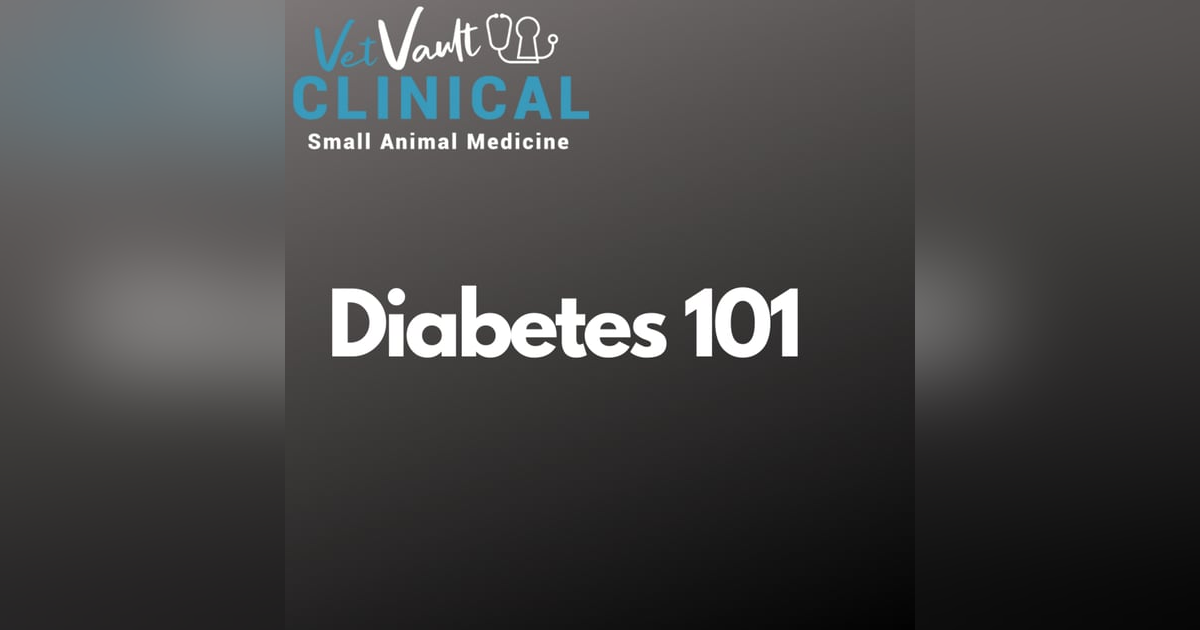 Diabetes 101: Everything insulin Diabetes 101: Everything insulin