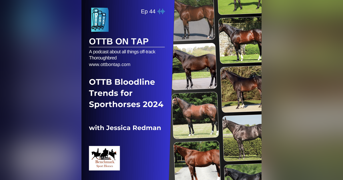 Ep 44: OTTB Bloodline Trends for Sporthorses 2024 with Jessica Redman Ep 44: OTTB Bloodline Trends for Sporthorses 2024 with Jessica Redman