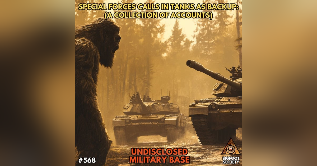 We didn't have enough firepower until the tanks came! (A Collection of Accounts) We didn't have enough firepower until the tanks came! (A Collection of Accounts)