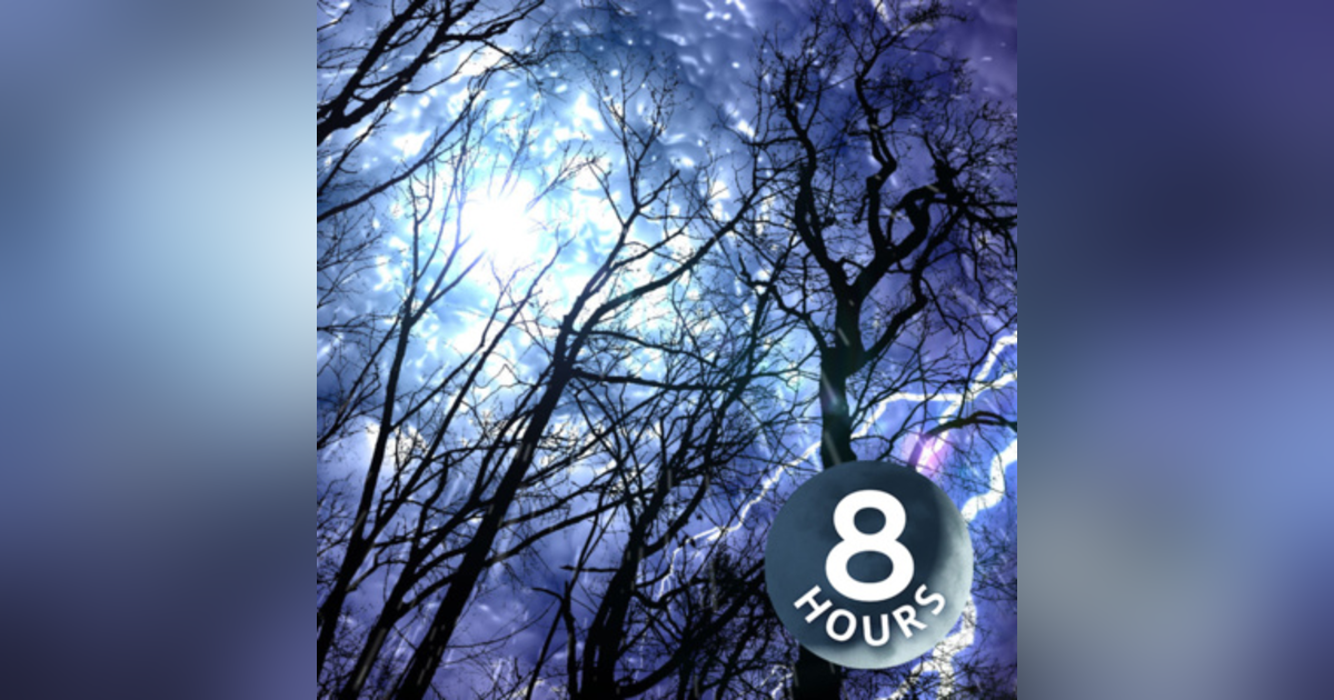 Forest Rain & Thunderstorm Sounds 8 Hours | Sleep or Study to Rain Falling White Noise Forest Rain & Thunderstorm Sounds 8 Hours | Sleep or Study to Rain Falling White Noise