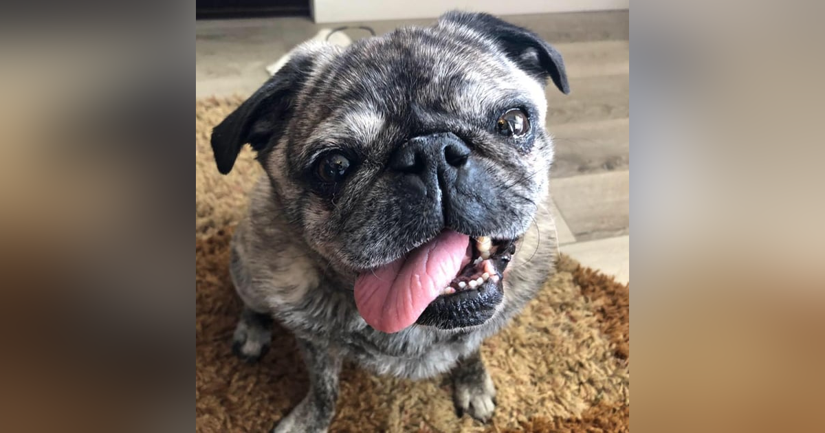 #206 Clementine Moss 10 Minute Meditation Love #206 Clementine Moss 10 Minute Meditation Love