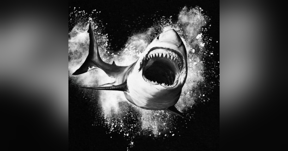SoberNotMature - Episode 127 (Psychic Sharks On Cocaine) SoberNotMature - Episode 127 (Psychic Sharks On Cocaine)