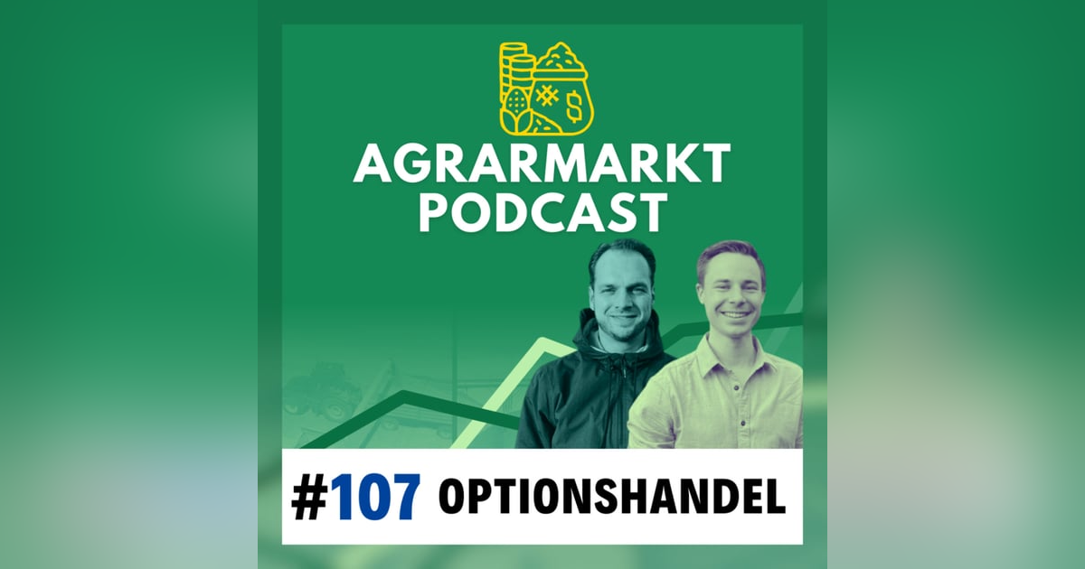 🔎 Absichern mit Optionen: Eierlegende Wollmilchsau? Wann sie Sinn machen & wann nicht 🔎 Absichern mit Optionen: Eierlegende Wollmilchsau? Wann sie Sinn machen & wann nicht