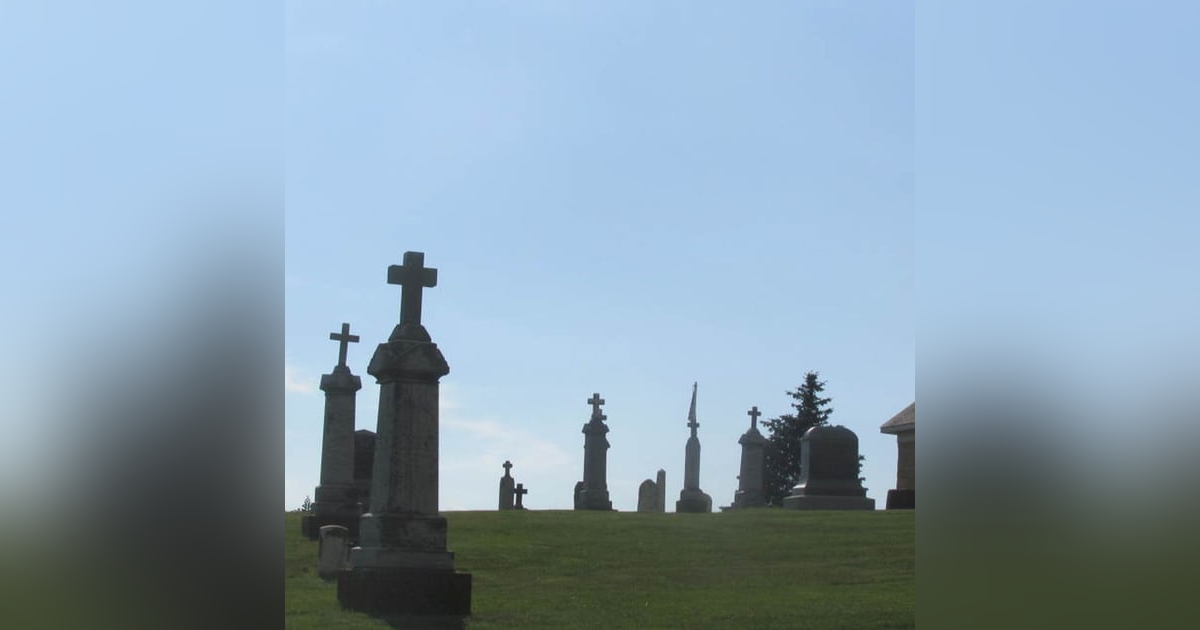 Historias de Miedo Agosto 25 de 2023 MANDA UN MENSAJE Historias de Miedo Agosto 25 de 2023 MANDA UN MENSAJE