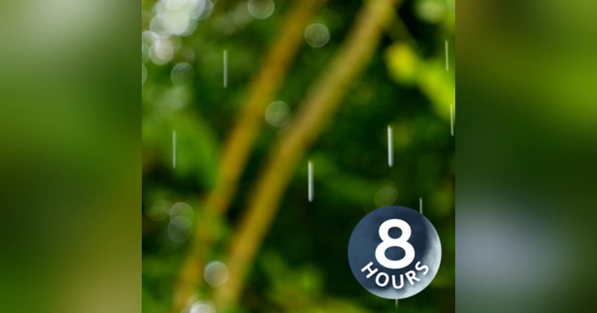 Dreamy Rain Sleep Sounds 8 Hours I Relaxing Rainstorm White Noise Dreamy Rain Sleep Sounds 8 Hours I Relaxing Rainstorm White Noise