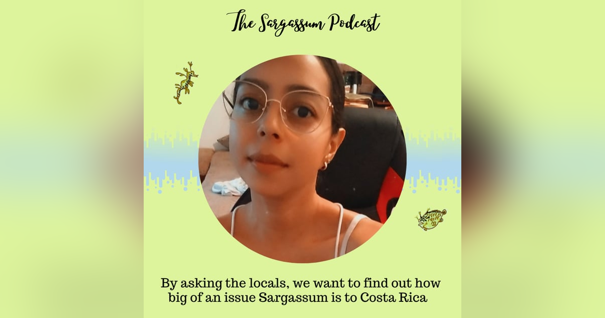 Episode 12: Assessing Sargassum landings through interviews with Paola Diaz Episode 12: Assessing Sargassum landings through interviews with Paola Diaz