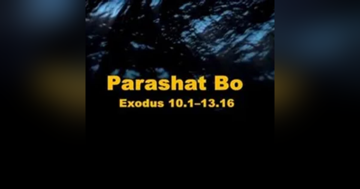 Parashah Bo: Exodus 10:1-13:16 Parashah Bo: Exodus 10:1-13:16