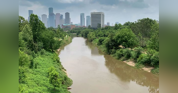 image for Bodies in the Bayou: Is a Serial Killer Stalking Houston?