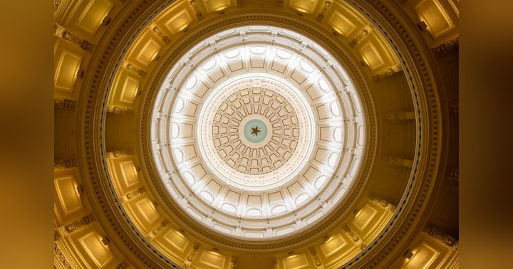 image for Allen Area Delegation Texas House Committee Assignments
