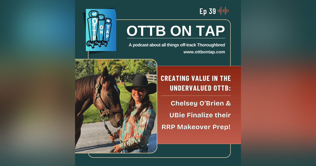 Ep 39: Creating Value in the Undervalued OTTB: Chelsey O’Brien & UBie Finalize their RRP Makeover Prep! Ep 39: Creating Value in the Undervalued OTTB: Chelsey O’Brien & UBie Finalize their RRP Makeover Prep!