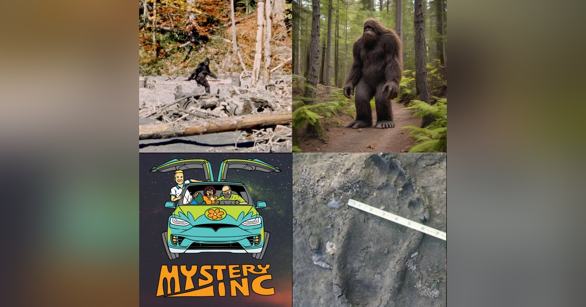45: Bigfoot: Shadows in the Forest 45: Bigfoot: Shadows in the Forest