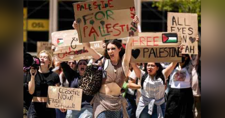 image for Balancing Activism and Academics: Strategies for Avoiding Expulsion