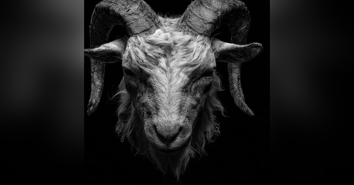 CHIVO Usado En RITUAL Historias De Terror - REDE CHIVO Usado En RITUAL Historias De Terror - REDE