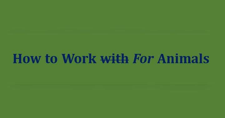 image for How to Work For Animals