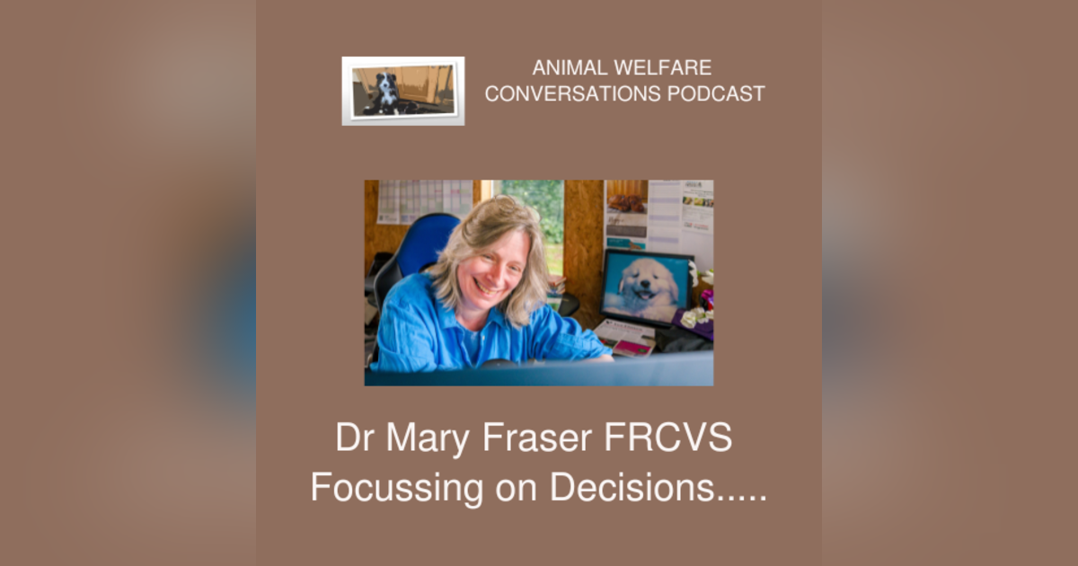 Animal Welfare and Decision Making Animal Welfare and Decision Making