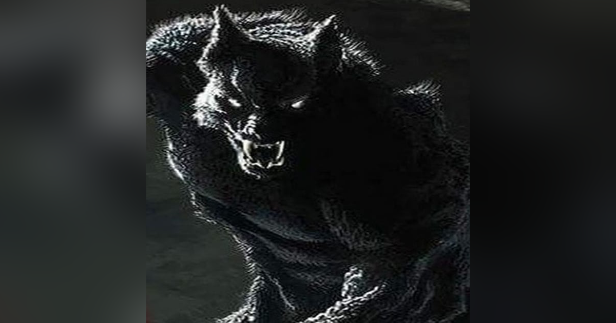 A La Caza Del NAHUAL Historias De Terror - REDE A La Caza Del NAHUAL Historias De Terror - REDE