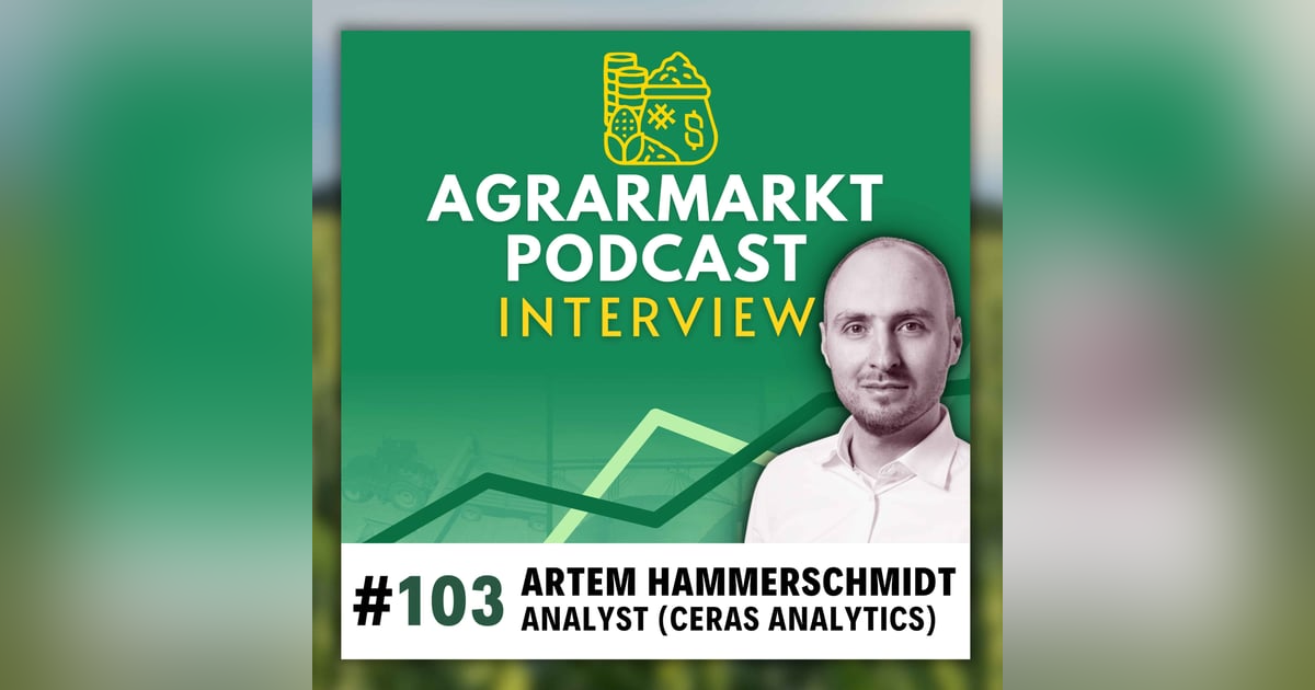 Hoffnung trotz Abverkauf - Deepdive mit Artem von Ceras Analytics Hoffnung trotz Abverkauf - Deepdive mit Artem von Ceras Analytics