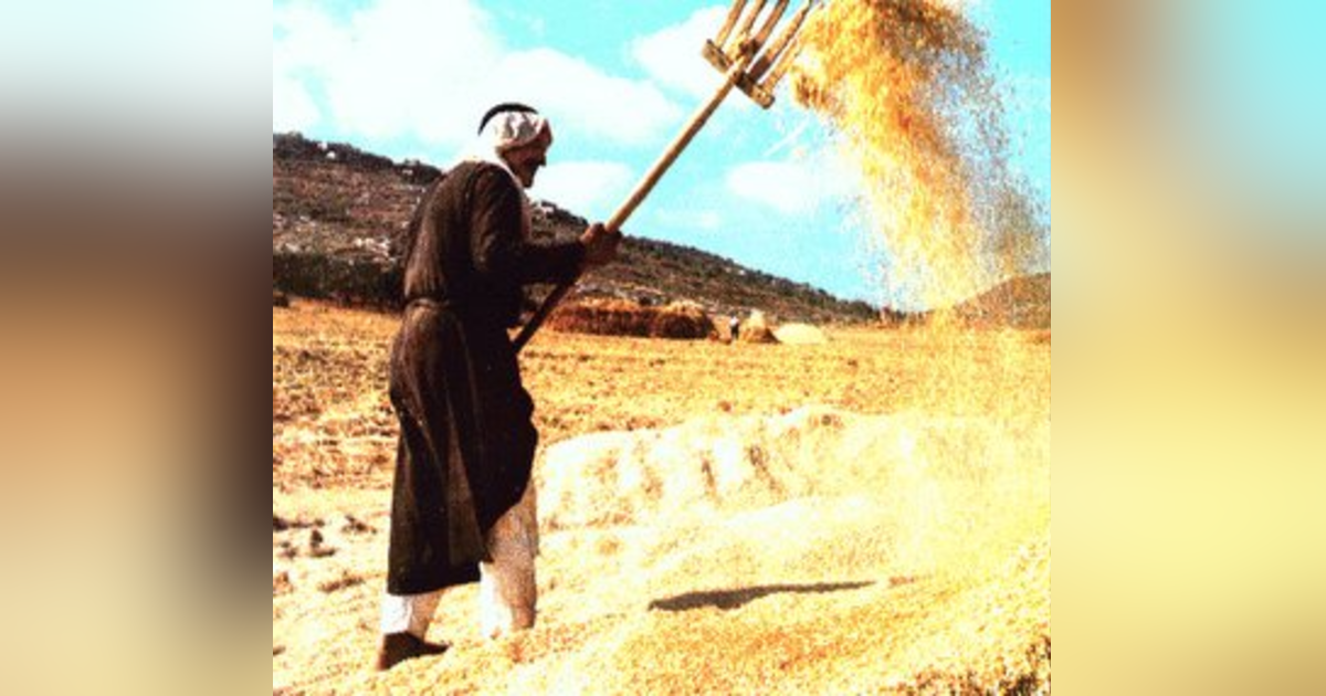 Why are the Genealogies of Luke and Matthew Different + Jesus Separates the Wheat from the Chaff, the Saved People From the Unsaved. Reading Luke 3 #180 Why are the Genealogies of Luke and Matthew Different + Jesus Separates the Wheat from the Chaff, the Saved People From the Unsaved. Reading Luke 3 #180