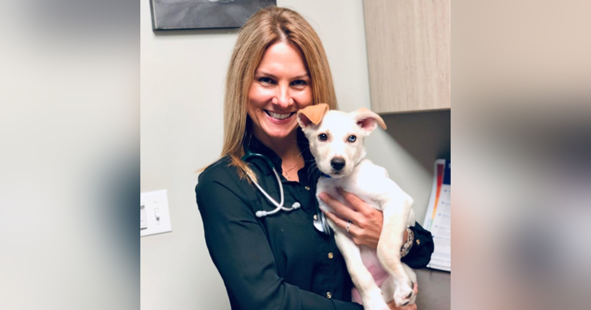 #36: The pursuit of guilt-free practice ownership. With Dr Kathy Anderson. #36: The pursuit of guilt-free practice ownership. With Dr Kathy Anderson.