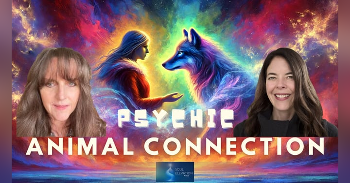 image for Animal Communication: Strengthening Your Connection to Your Pets with Animal Communicator Heidi Wright