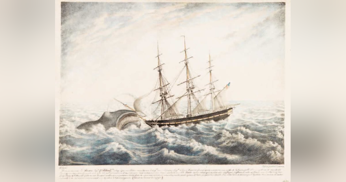 The Sinking of the Whaleship Essex The Sinking of the Whaleship Essex