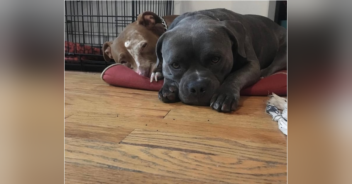 Oh, What a Week!--Donnie vs Brandon Oh, What a Week!--Donnie vs Brandon