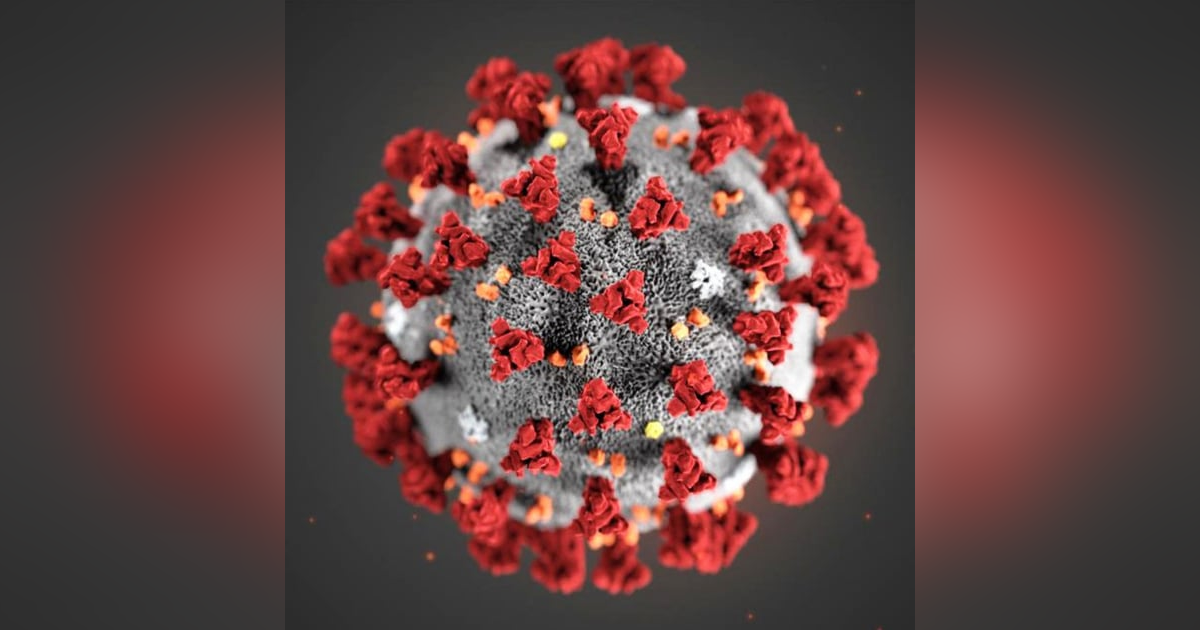 318: Why pandemics will keep increasing and how we can reverse the trend 318: Why pandemics will keep increasing and how we can reverse the trend