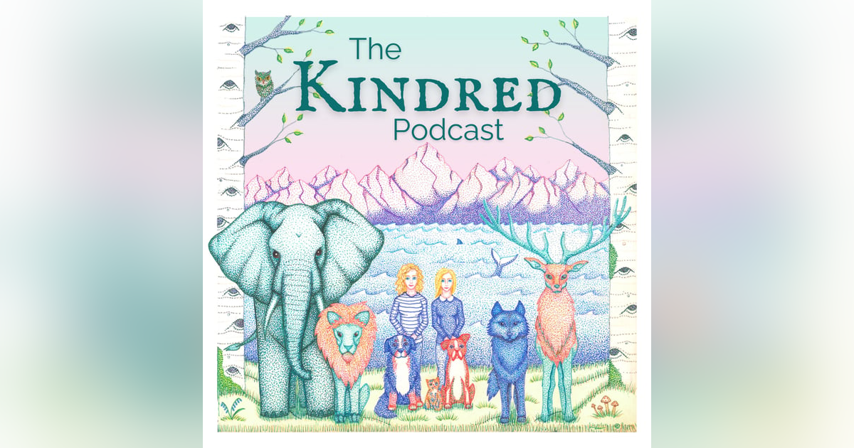 A New Season of Kindred Drops Oct 14! A New Season of Kindred Drops Oct 14!