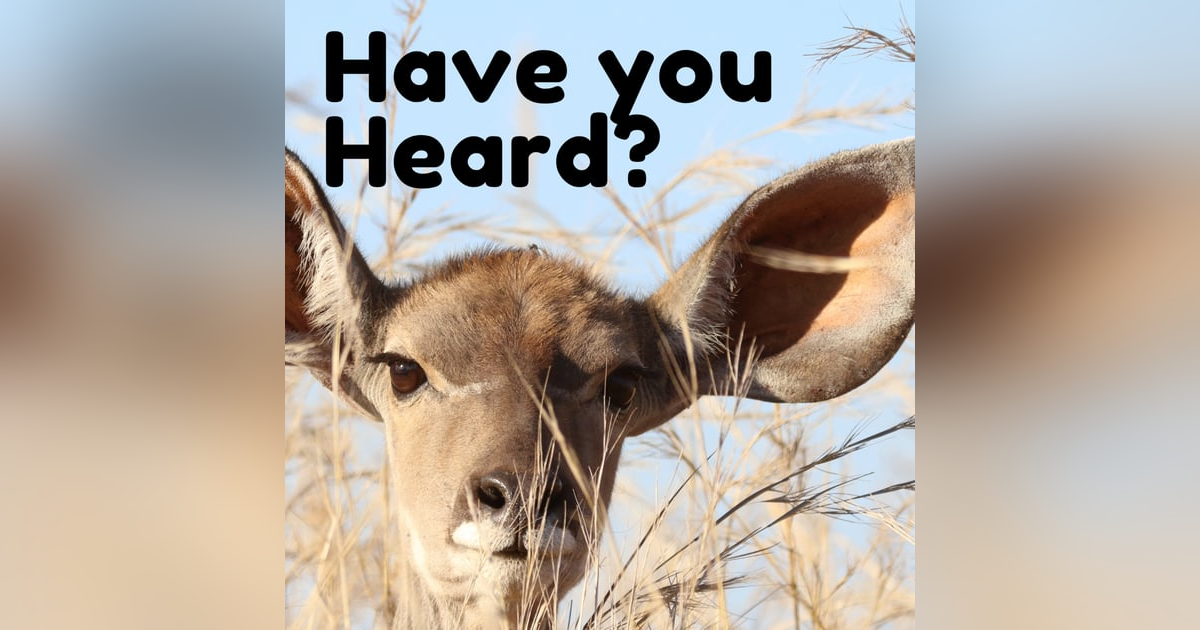 Have You Heard?with Jesse and Jordan Have You Heard?with Jesse and Jordan