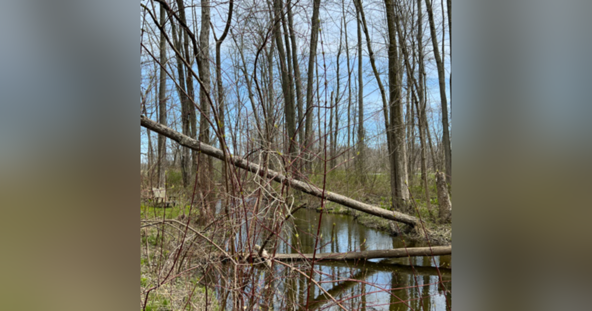 66. Spring To Do List 66. Spring To Do List